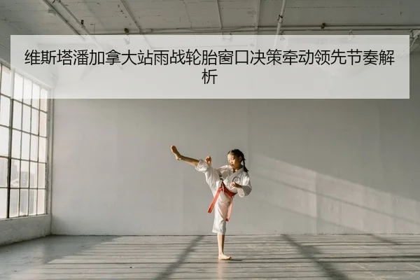 wei-si-ta-pan-jia-na-da-zhan-yu-zhan-lun-tai-chuang-kou-jue-ce-qian-dong-ling-xian-jie-zou-jie-xi-2-908.jpg